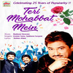 Teri Mohabbat Mein (1993) Mp3 Songs